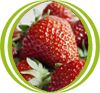 fresón